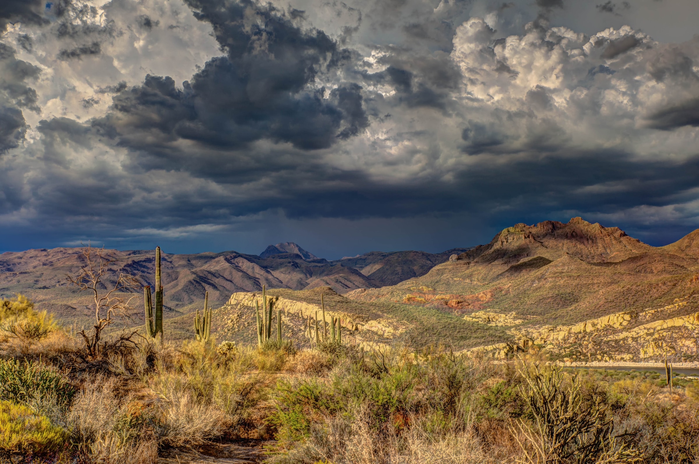 Arivaca Resident