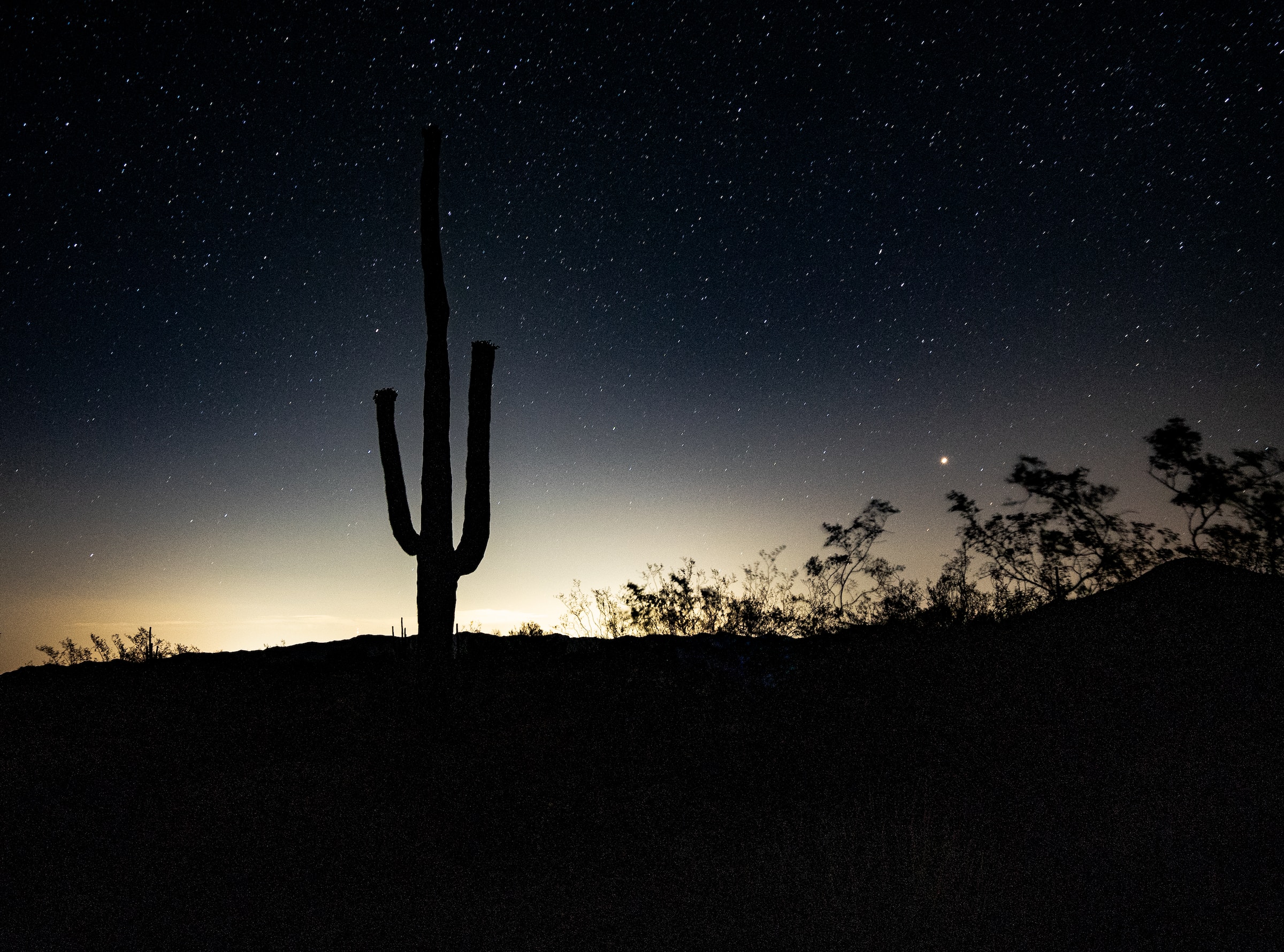 Arivaca Resident